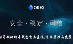 了解早期比特币钱包交易