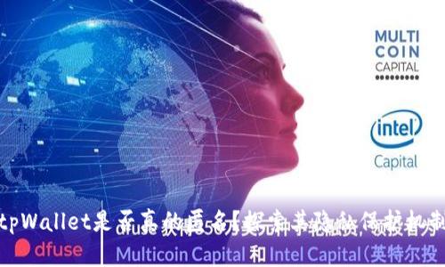 tpWallet是否真的匿名？探索其隐私保护机制
